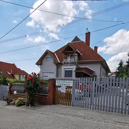 Apartman Forrás 2 *